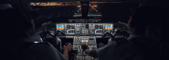 SURVEY: Pilots as a resource for system resilience